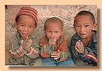 Die zukuenftigen Lamas der Yangtser Gompa.jpg