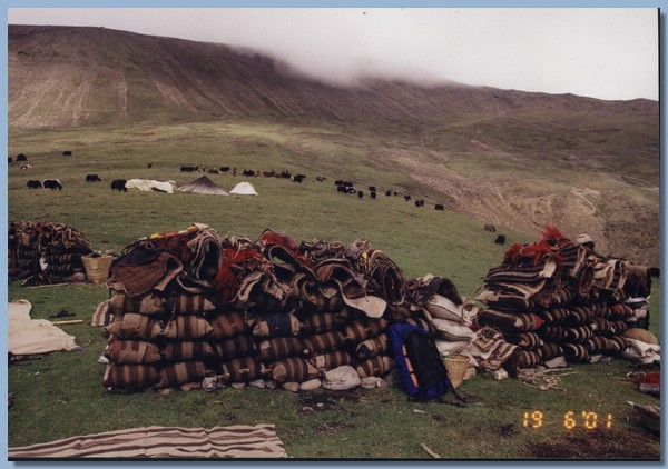 Lager unterwegs, die Scke werden als Windschutz aufgeschichtet, Yaks grasen im Hintergrund.jpg