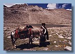 Nyima Lama, King of Dolpo.jpg