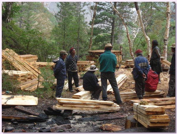 Beim Holzschlagen fuer den neuen Schulblock im Nationalpark Shey Poksumdo.JPG