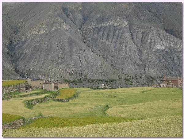 Ein Gehoeft, Gerstenfelder und eine Gompa von Saldang.JPG