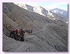 Der neue Weg in Saldang nimmt Form an.JPG Der neue Weg in Saldang nimmt Form an.JPG