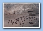 [Click to enlarge image]