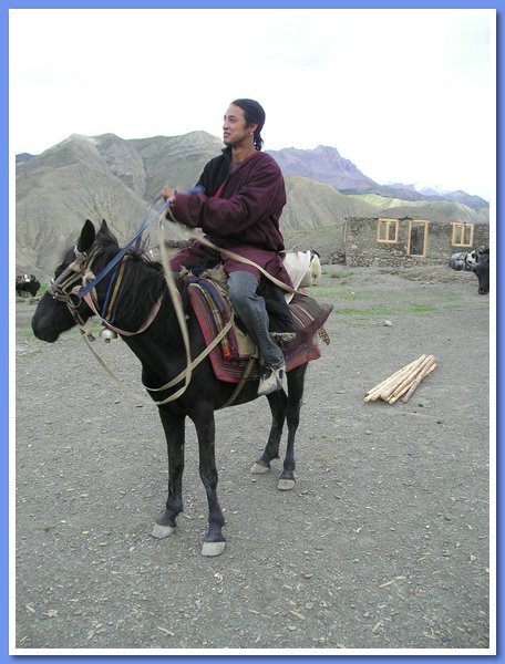Pferd mit Reiter vor dem Neubau.JPG