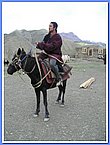 Pferd mit Reiter vor dem Neubau.JPG