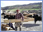 Thinley Lhundup sorgte fuer den Transport des Bauholzes.JPG