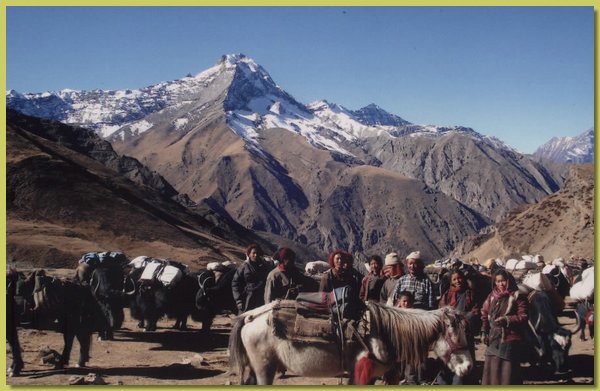 Die Leute von Saldang mit ihren Yaks auf dem Weg ins Untere Dolpo.jpg