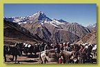 Die Leute von Saldang mit ihren Yaks auf dem Weg ins Untere Dolpo.jpg