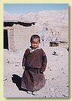 Dawa Tashi_Nusery.jpg