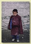 Tenzin Norbu_Nursery.jpg