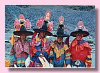 Tanz der Schwarzhut-Lamas.jpg